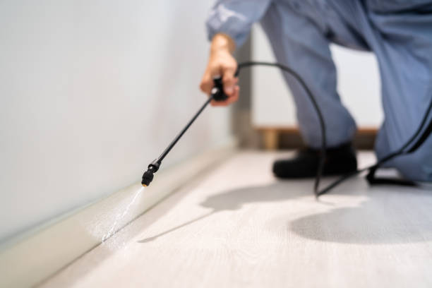 Licensed Fumigation Services service in Inverness, CO - Nex Pest Control