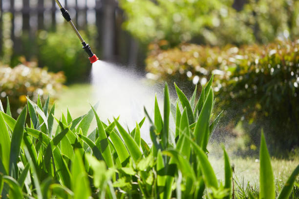 24/7 Emergency Fumigation Services experts in Inverness, CO