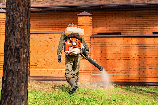 Trusted Rodent Control service in Inverness, CO - Nex Pest Control